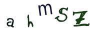 Obrázkové CAPTCHA