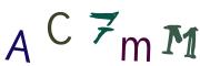Obrázkové CAPTCHA