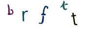 Obrázkové CAPTCHA