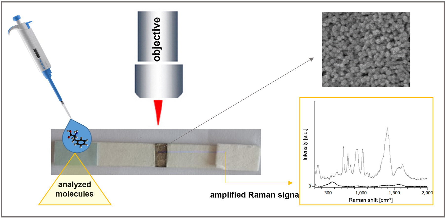 Surface-enhanced Raman spectroscopy-assisted lateral flow test for ...
